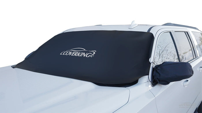 1995 Volkswagen GTI Frost Shield