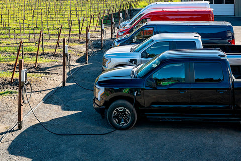 Ford's New Pilot Program to Equip California Winemakers with EVs