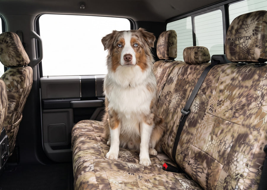 Dog on Coverking Kryptek Highlander NeoSupreme seat covers — everyday style and seat protection