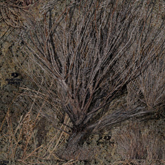Neosupreme Camo Mossy Oak Brush Solid