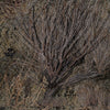 Neosupreme Mossy Oak-Default